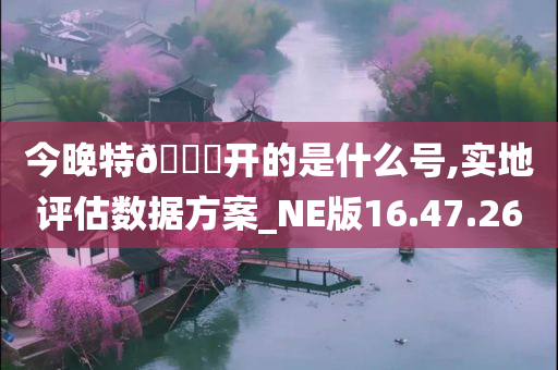 今晚特🐎开的是什么号,实地评估数据方案_NE版16.47.26