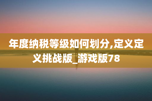 年度纳税等级如何划分,定义定义挑战版_游戏版78