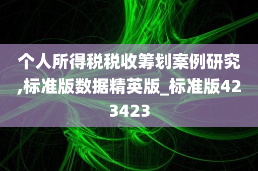 个人所得税税收筹划案例研究,标准版数据精英版_标准版423423