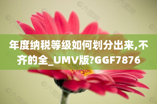 年度纳税等级如何划分出来,不齐的全_UMV版?GGF7876