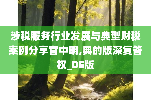 涉税服务行业发展与典型财税案例分享官中明,典的版深复答权_DE版