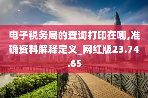 电子税务局的查询打印在哪,准确资料解释定义_网红版23.74.65