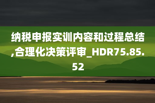 纳税申报实训内容和过程总结,合理化决策评审_HDR75.85.52