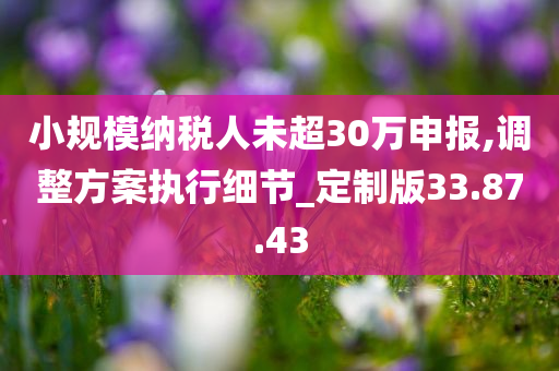 小规模纳税人未超30万申报,调整方案执行细节_定制版33.87.43