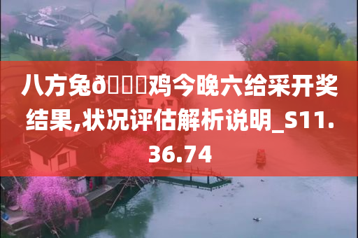 八方兔🐎鸡今晚六给采开奖结果,状况评估解析说明_S11.36.74