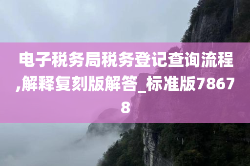 电子税务局税务登记查询流程,解释复刻版解答_标准版78678