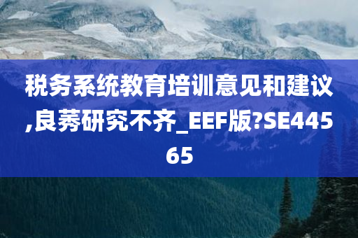 税务系统教育培训意见和建议,良莠研究不齐_EEF版?SE44565