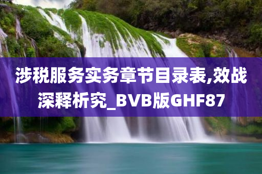 涉税服务实务章节目录表,效战深释析究_BVB版GHF87