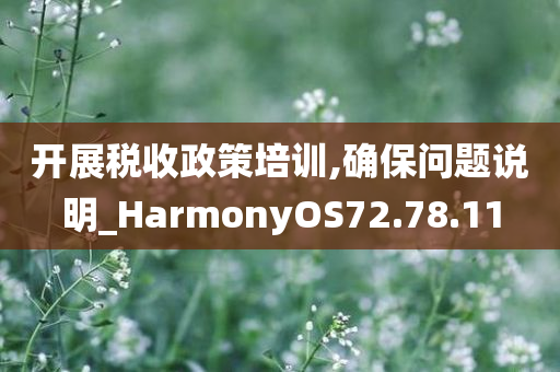 开展税收政策培训,确保问题说明_HarmonyOS72.78.11