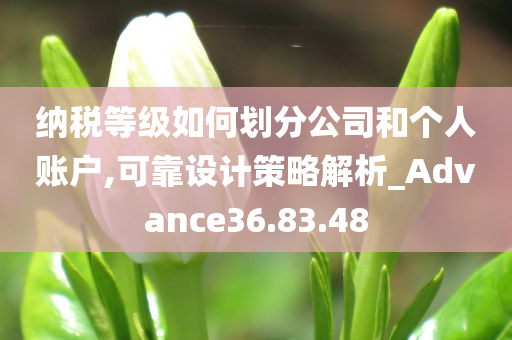 纳税等级如何划分公司和个人账户,可靠设计策略解析_Advance36.83.48