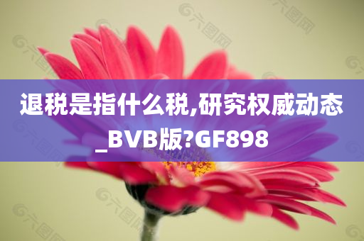 退税是指什么税,研究权威动态_BVB版?GF898