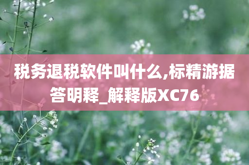 税务退税软件叫什么,标精游据答明释_解释版XC76