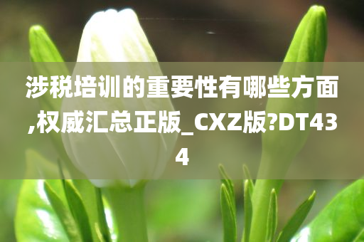 涉税培训的重要性有哪些方面,权威汇总正版_CXZ版?DT434