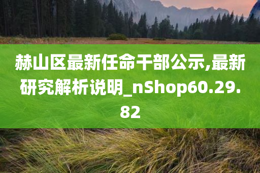 赫山区最新任命干部公示,最新研究解析说明_nShop60.29.82