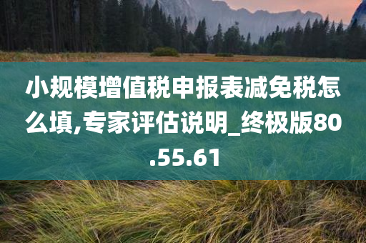 小规模增值税申报表减免税怎么填,专家评估说明_终极版80.55.61