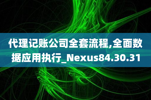 代理记账公司全套流程,全面数据应用执行_Nexus84.30.31