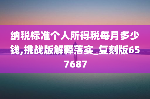 纳税标准个人所得税每月多少钱,挑战版解释落实_复刻版657687