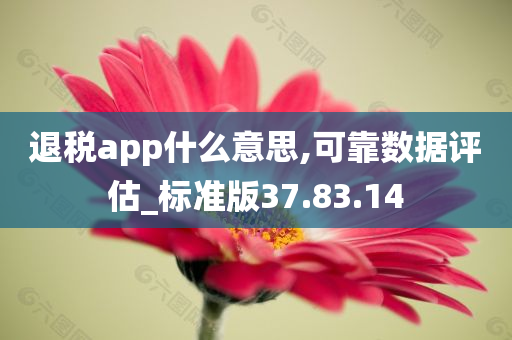 退税app什么意思,可靠数据评估_标准版37.83.14