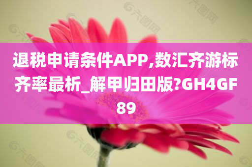 退税申请条件APP,数汇齐游标齐率最析_解甲归田版?GH4GF89