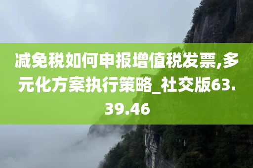 减免税如何申报增值税发票,多元化方案执行策略_社交版63.39.46