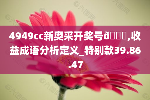 4949cc新奥采开奖号🐎,收益成语分析定义_特别款39.86.47