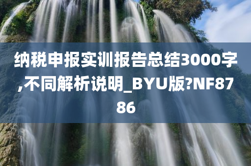 纳税申报实训报告总结3000字,不同解析说明_BYU版?NF8786