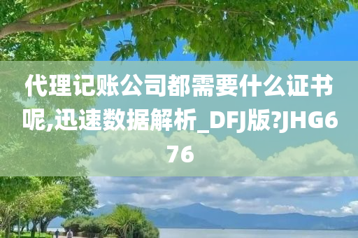 代理记账公司都需要什么证书呢,迅速数据解析_DFJ版?JHG676