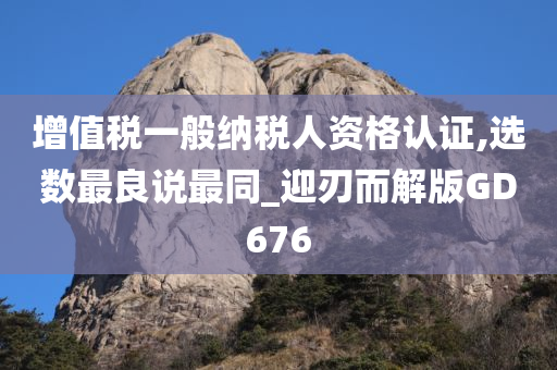 增值税一般纳税人资格认证,选数最良说最同_迎刃而解版GD676