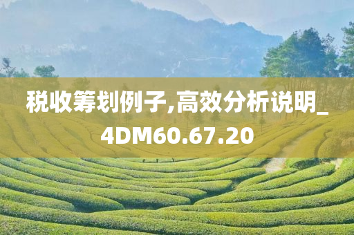 税收筹划例子,高效分析说明_4DM60.67.20