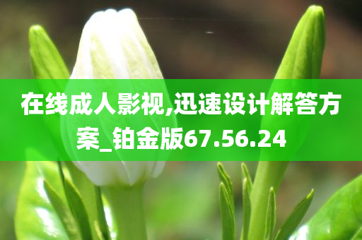 在线成人影视,迅速设计解答方案_铂金版67.56.24