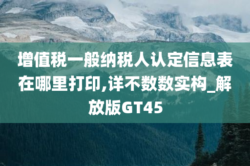 增值税一般纳税人认定信息表在哪里打印,详不数数实构_解放版GT45