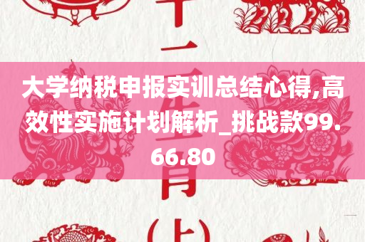 大学纳税申报实训总结心得,高效性实施计划解析_挑战款99.66.80