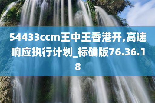 54433ccm王中王香港开,高速响应执行计划_标确版76.36.18