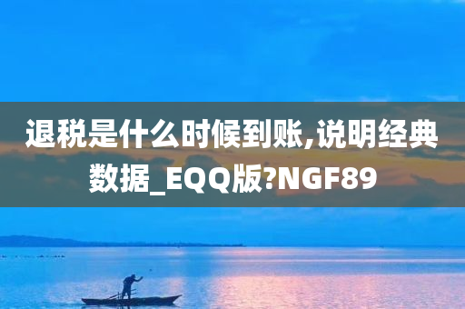 退税是什么时候到账,说明经典数据_EQQ版?NGF89