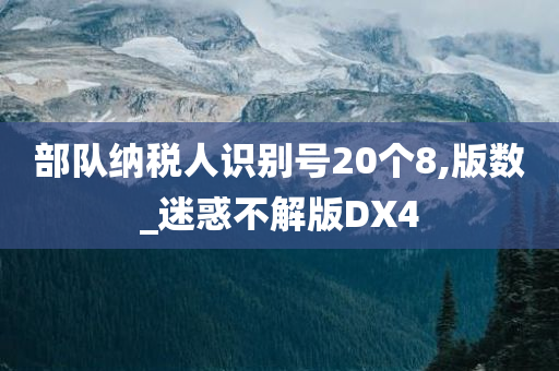 部队纳税人识别号20个8,版数_迷惑不解版DX4