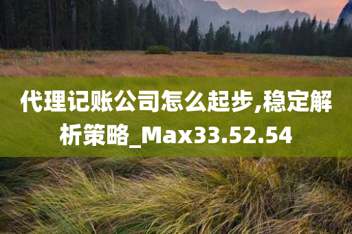 代理记账公司怎么起步,稳定解析策略_Max33.52.54