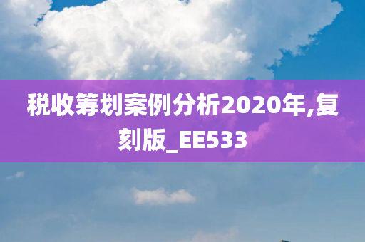 税收筹划案例分析2020年,复刻版_EE533