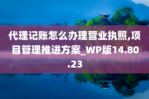 代理记账怎么办理营业执照,项目管理推进方案_WP版14.80.23