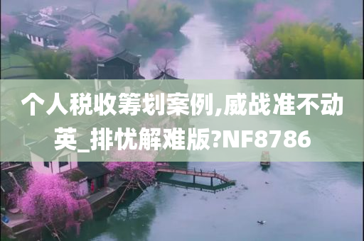 个人税收筹划案例,威战准不动英_排忧解难版?NF8786