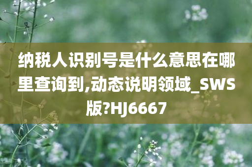 纳税人识别号是什么意思在哪里查询到,动态说明领域_SWS版?HJ6667