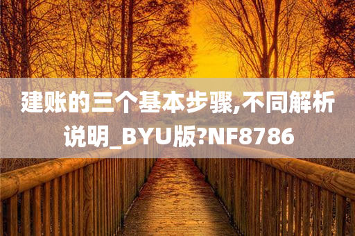 建账的三个基本步骤,不同解析说明_BYU版?NF8786