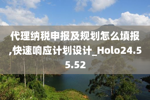 代理纳税申报及规划怎么填报,快速响应计划设计_Holo24.55.52