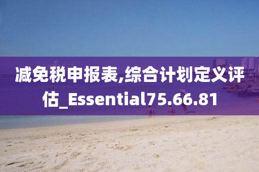 减免税申报表,综合计划定义评估_Essential75.66.81