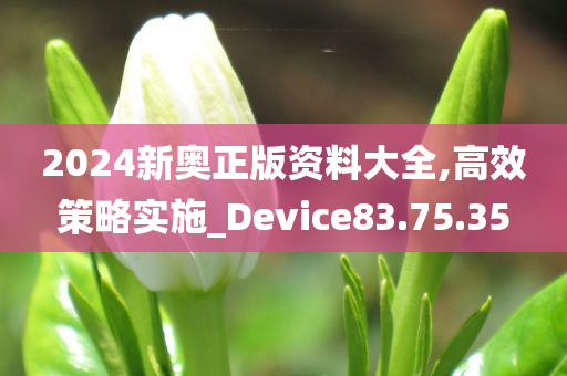 2024新奥正版资料大全,高效策略实施_Device83.75.35