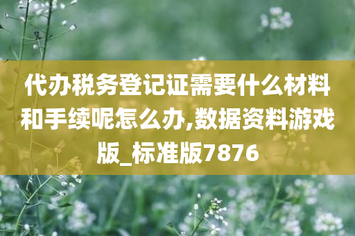 代办税务登记证需要什么材料和手续呢怎么办,数据资料游戏版_标准版7876