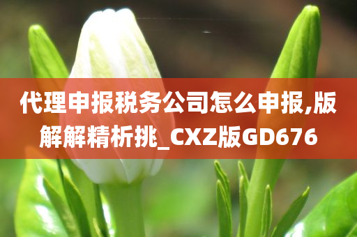 代理申报税务公司怎么申报,版解解精析挑_CXZ版GD676