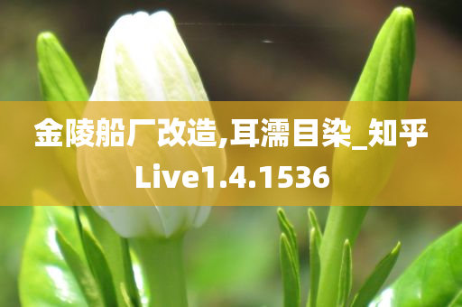 金陵船厂改造,耳濡目染_知乎Live1.4.1536