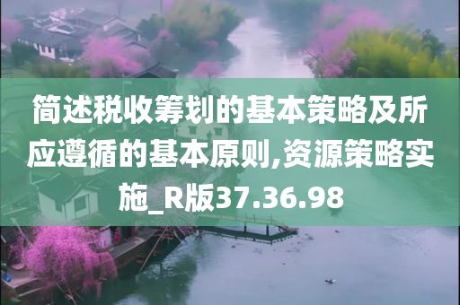 简述税收筹划的基本策略及所应遵循的基本原则,资源策略实施_R版37.36.98