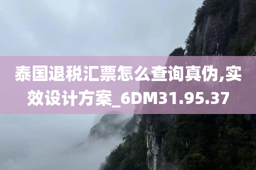 泰国退税汇票怎么查询真伪,实效设计方案_6DM31.95.37