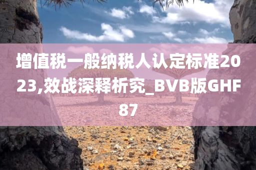 增值税一般纳税人认定标准2023,效战深释析究_BVB版GHF87